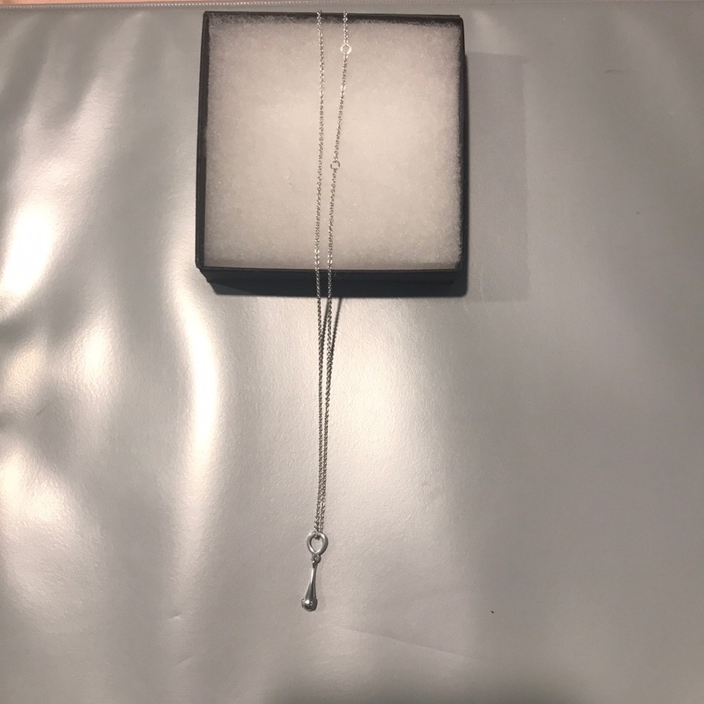 Pandora chain and pendant